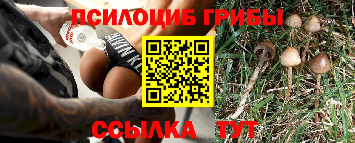 Псилоцибиновые грибы MAGIC MUSHROOMS Рыбинск